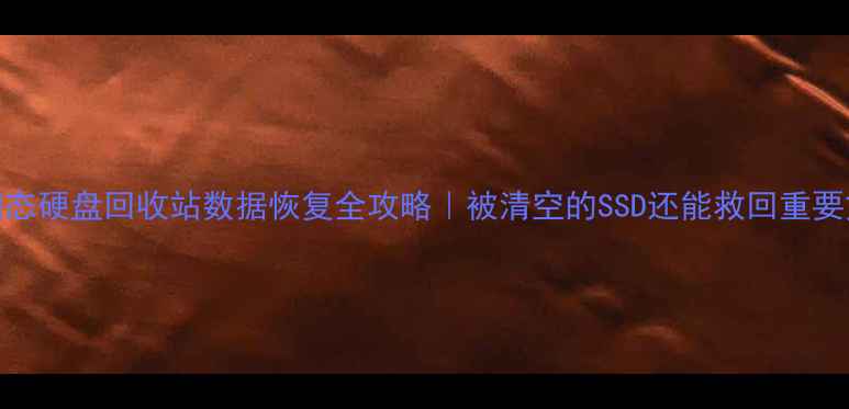 图片 💾💡固态硬盘回收站数据恢复全攻略｜被清空的SSD还能救回重要文件？