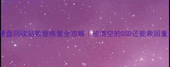 图片 💾💡固态硬盘回收站数据恢复全攻略｜被清空的SSD还能救回重要文件？1