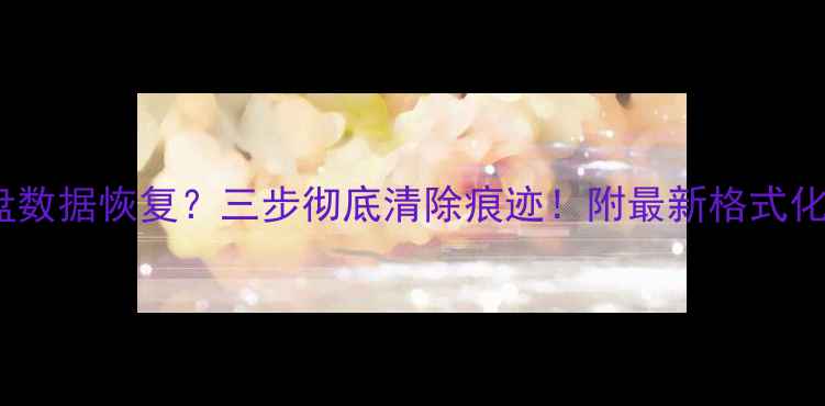 图片 📀U盘数据恢复？三步彻底清除痕迹！附最新格式化攻略