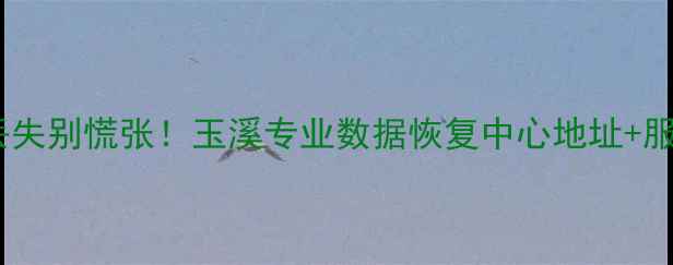 玉溪本地服务数据丢失别慌张玉溪专业数据恢复中心地址服务全附实时定位