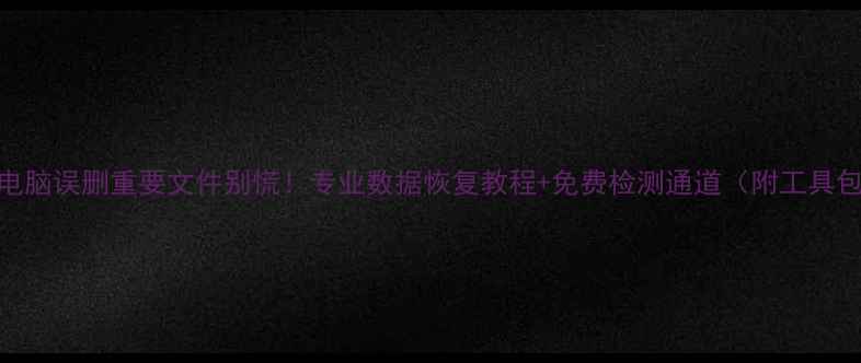 电脑误删重要文件别慌专业数据恢复教程免费检测通道附工具包