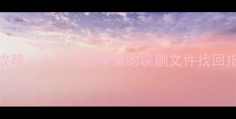 FAT分区数据恢复全攻略小白也能看懂的误删文件找回指南附实用教程