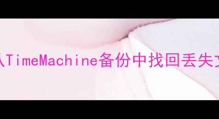 Mac数据恢复全攻略从TimeMachine备份中找回丢失文件附详细操作步骤