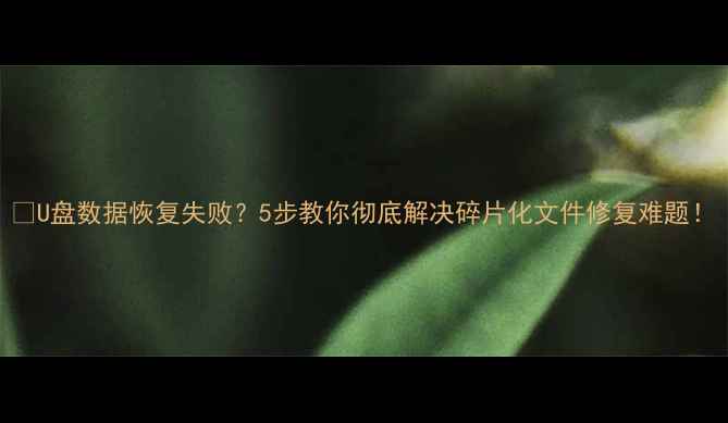 图片 📁U盘数据恢复失败？5步教你彻底解决碎片化文件修复难题！