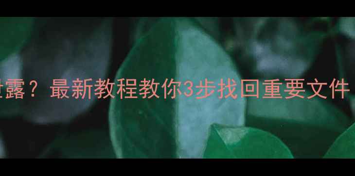 图片 📁U盘数据恢复被泄露？最新教程教你3步找回重要文件（附免费工具）📁2