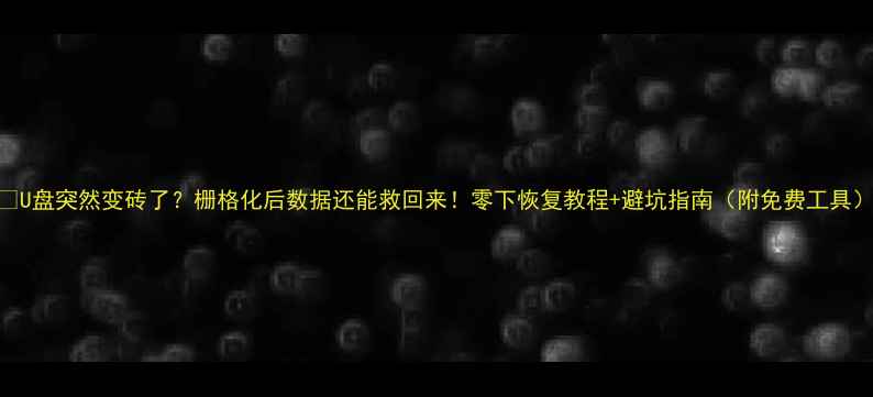 图片 📁U盘突然变砖了？栅格化后数据还能救回来！零下恢复教程+避坑指南（附免费工具）