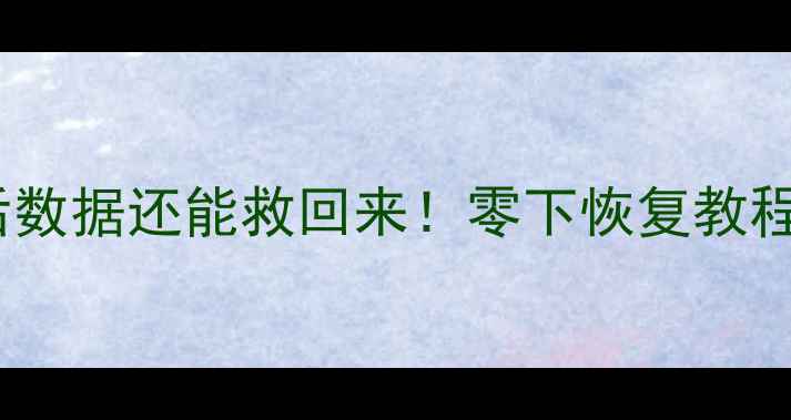 图片 📁U盘突然变砖了？栅格化后数据还能救回来！零下恢复教程+避坑指南（附免费工具）1