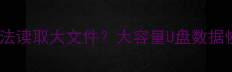 U盘突然无法读取大文件大容量U盘数据恢复全攻略