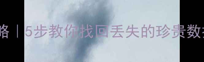 WD硬盘数据恢复全攻略5步教你找回丢失的珍贵数据附专业避坑指南