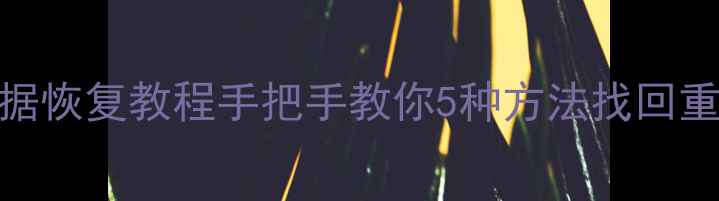 免费U盘数据恢复教程手把手教你5种方法找回重要文件