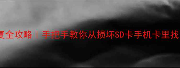 内存卡数据恢复全攻略手把手教你从损坏SD卡手机卡里找回照片视频