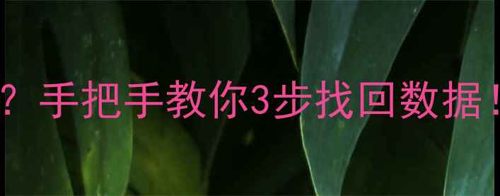 图片 📁分区误删重要文件？手把手教你3步找回数据！附免费工具推荐🔥2