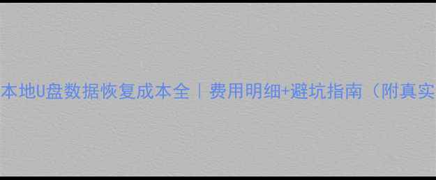 四川本地U盘数据恢复成本全费用明细避坑指南附真实案例