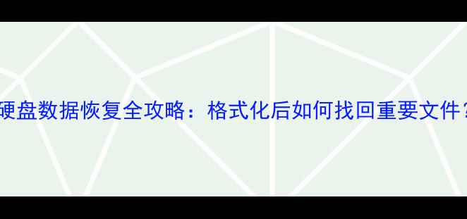 大华硬盘数据恢复全攻略格式化后如何找回重要文件