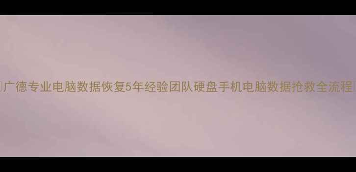 图片 📁广德专业电脑数据恢复5年经验团队硬盘手机电脑数据抢救全流程✨