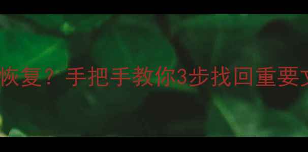 图片 📁扇区数据损坏怎么恢复？手把手教你3步找回重要文件（附避坑指南）1