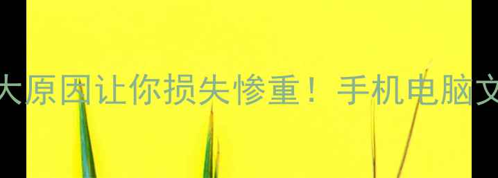 图片 📁数据恢复失败？这7大原因让你损失惨重！手机电脑文件修复技巧大公开📱1
