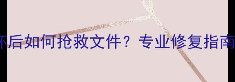 图片 📁数据恢复必看！格式损坏后如何抢救文件？专业修复指南+避坑攻略（附真实案例）