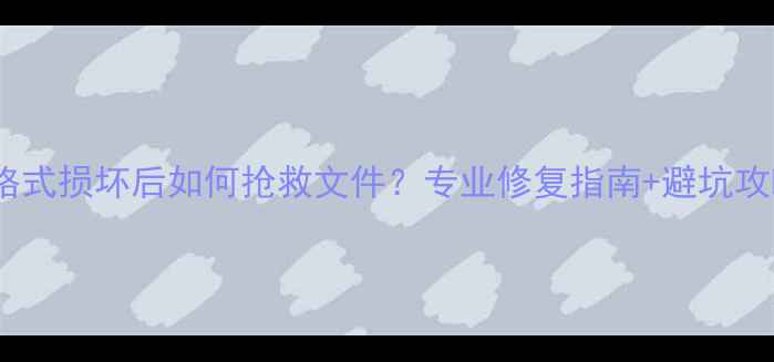 数据恢复必看格式损坏后如何抢救文件专业修复指南避坑攻略附真实案例