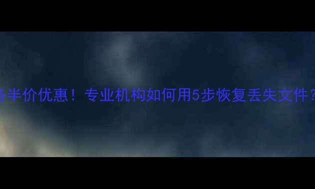 图片 📁数据恢复服务半价优惠！专业机构如何用5步恢复丢失文件？附真实案例🔧