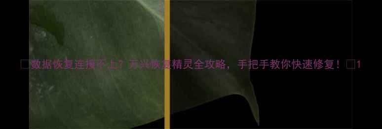 图片 📁数据恢复连接不上？万兴恢复精灵全攻略，手把手教你快速修复！🔧1