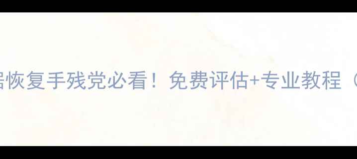 图片 📁深圳u盘数据恢复手残党必看！免费评估+专业教程（附工具清单）