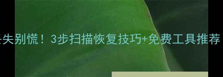 图片 📁电脑文件丢失别慌！3步扫描恢复技巧+免费工具推荐（附案例）💾