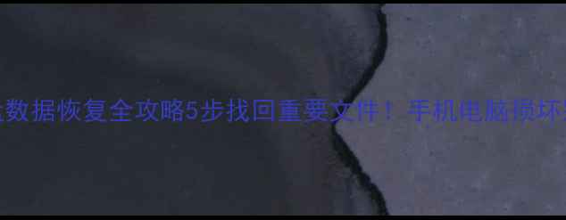 百脑汇硬盘数据恢复全攻略5步找回重要文件手机电脑损坏别慌看这篇