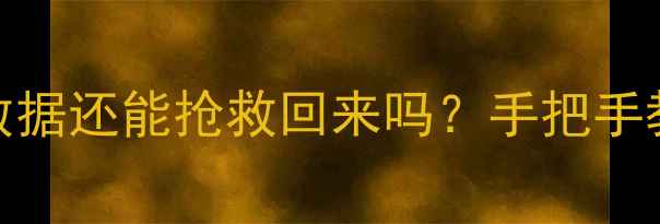 硬盘格式化后数据还能抢救回来吗手把手教你3种恢复秘籍