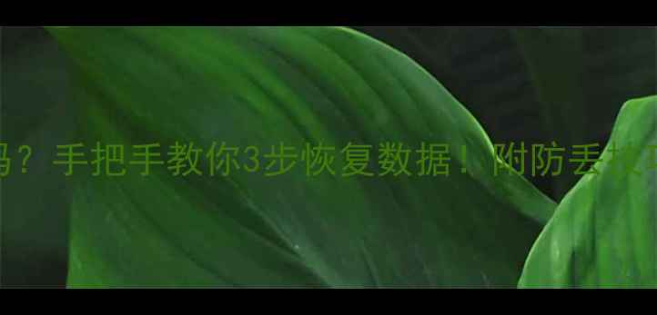 图片 📉WPS表格突然乱码？手把手教你3步恢复数据！附防丢技巧（附修复案例）1