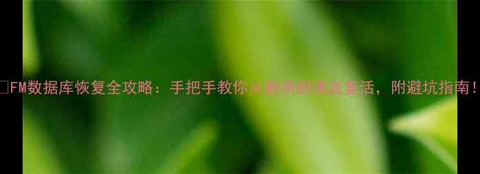图片 📌FM数据库恢复全攻略：手把手教你从崩溃到满血复活，附避坑指南！