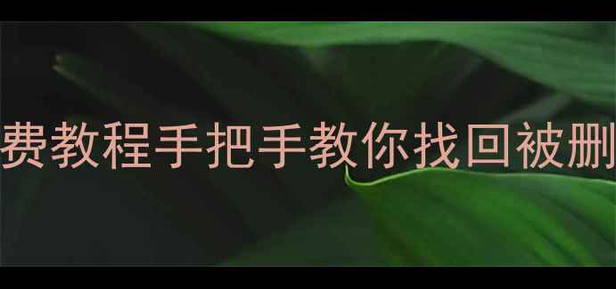 图片 📌PPT播放记录恢复全攻略：免费教程手把手教你找回被删除的播放数据（附操作步骤）2