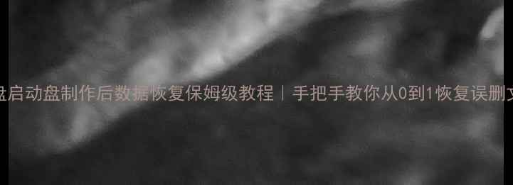 图片 📌U盘启动盘制作后数据恢复保姆级教程｜手把手教你从0到1恢复误删文件1