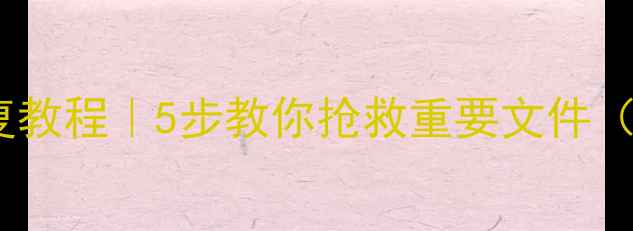 图片 📌U盘损坏数据恢复教程｜5步教你抢救重要文件（附免费工具推荐）