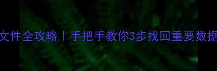 WPS恢复已删除文件全攻略手把手教你3步找回重要数据附详细教程