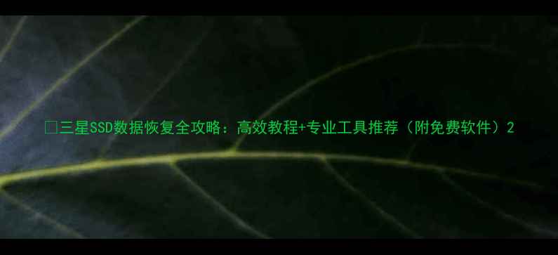 三星SSD数据恢复全攻略高效教程专业工具推荐附免费软件