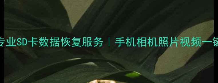 图片 📌上海专业SD卡数据恢复服务｜手机相机照片视频一键找回📌