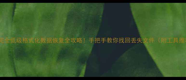 图片 📌不完全低级格式化数据恢复全攻略！手把手教你找回丢失文件（附工具推荐）2