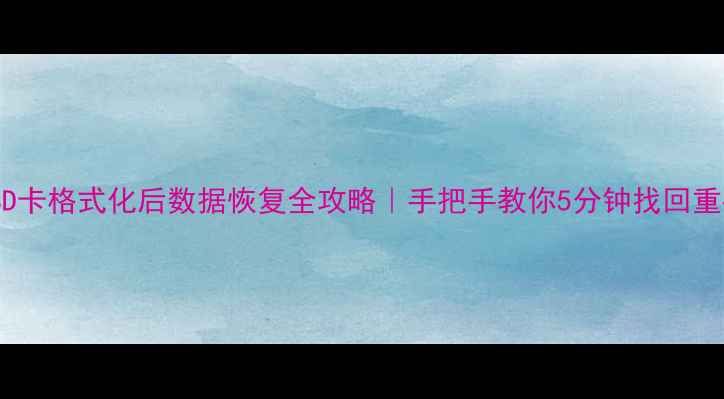 东芝SD卡格式化后数据恢复全攻略手把手教你5分钟找回重要文件
