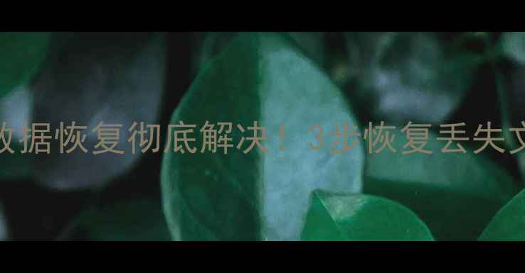 图片 📌东芝笔记本虚拟数据恢复彻底解决！3步恢复丢失文件+详细避坑指南1