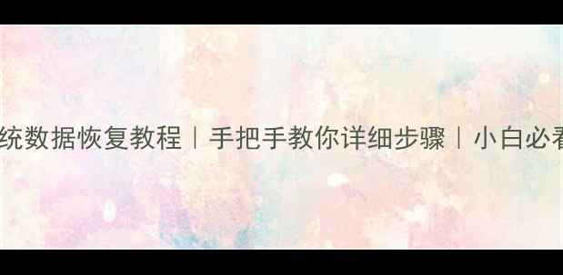 单机系统数据恢复教程手把手教你详细步骤小白必看推荐