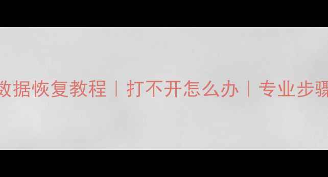 图片 📌固态硬盘数据恢复教程｜打不开怎么办｜专业步骤+注意事项2