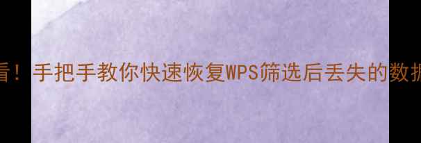 必看手把手教你快速恢复WPS筛选后丢失的数据