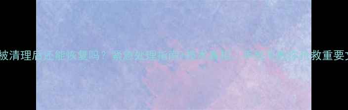 图片 📌数据被清理后还能恢复吗？紧急处理指南+技术真相，手把手教你抢救重要文件！2