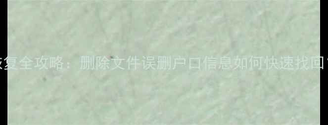 电脑手机数据恢复全攻略删除文件误删户口信息如何快速找回附免费工具推荐