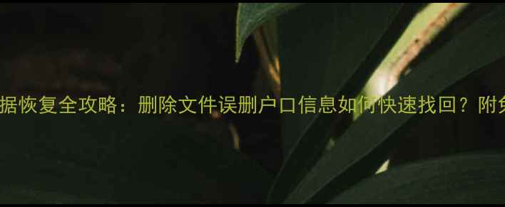 图片 📌电脑手机数据恢复全攻略：删除文件误删户口信息如何快速找回？附免费工具推荐2