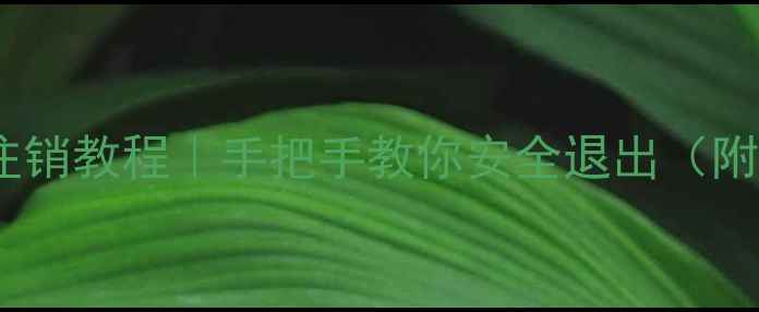 金山数据恢复软件注销教程手把手教你安全退出附官方渠道常见问题