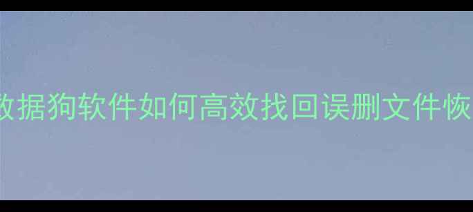 图片 📚电脑数据恢复全攻略：数据狗软件如何高效找回误删文件恢复损坏分区修复丢失照片1