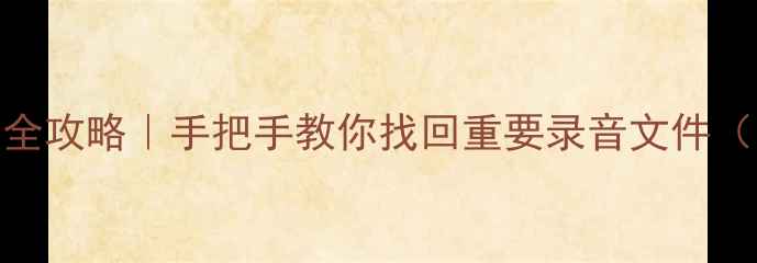 录音笔数据恢复全攻略手把手教你找回重要录音文件附专业工具推荐