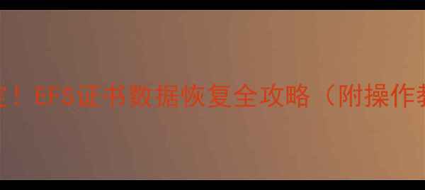 图片 📢3步搞定！EFS证书数据恢复全攻略（附操作教程）📢1